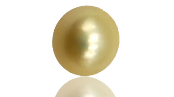 Yellow Pearl - Moti