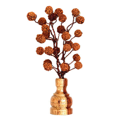 Rudraksha Tree (54 Beads Natural)