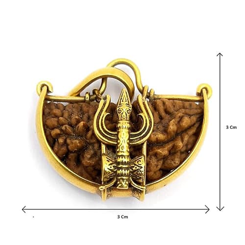 Ek Mukhi One Faced Trishul Rudraksha - Lab Certified (Without Mala)