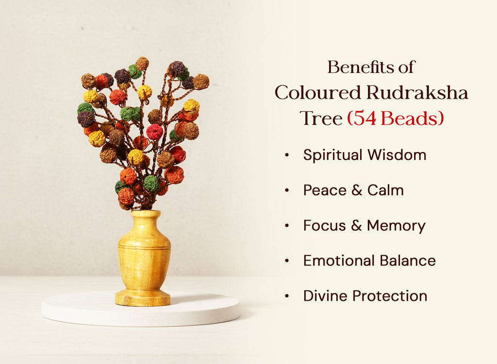 Rudraksha Tree (54 Beads) – Colored