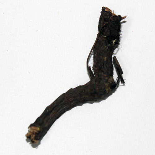 Nagarmotha Root - नागरमोथा जड़