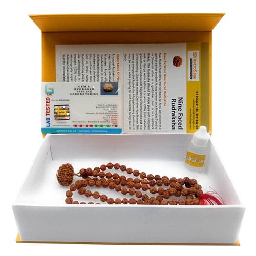 Nau Mukhi- Nine Faced Ruadraksha - Lab Certified