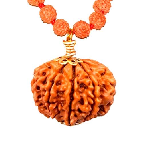 Nau Mukhi- Nine Faced Ruadraksha - Lab Certified