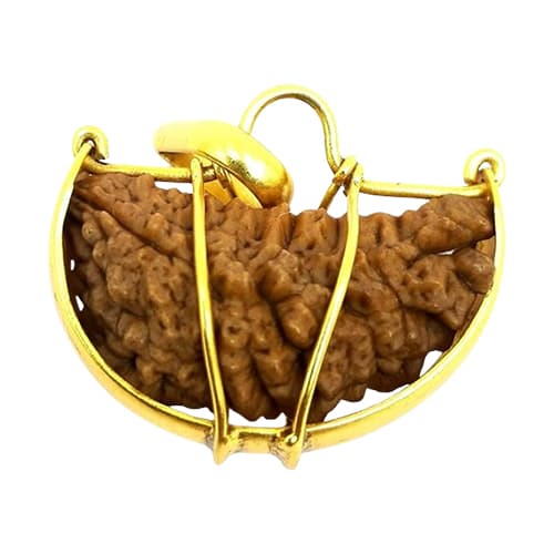1 Mukhi Indo Original Rudraksha