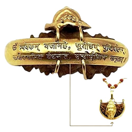 Ek Mukhi - One-Faced Shiva Rudraksha Pendant - Lab Certified (Without Mala)