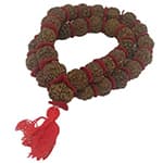 Panch Mukhi Rudraksha Kantha