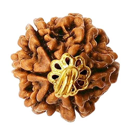 4 Mukhi Original Nepali Rudraksha