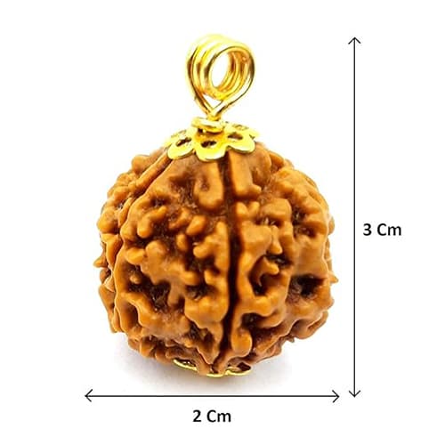 4 Mukhi Original Nepali Rudraksha