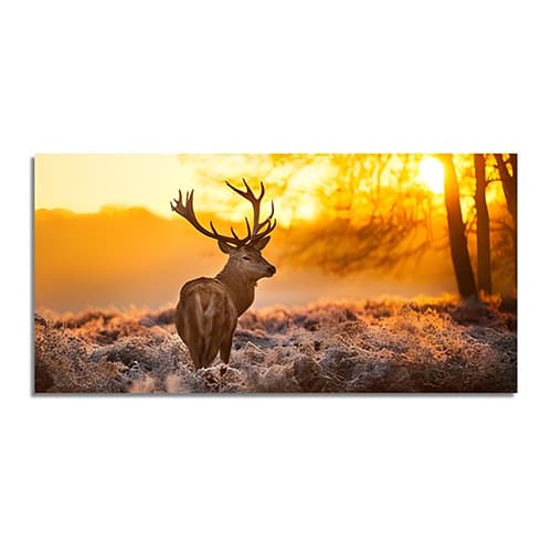 Stag Forest Sunset Sunrise Deer Canvas Wall painting (WP_0220N)