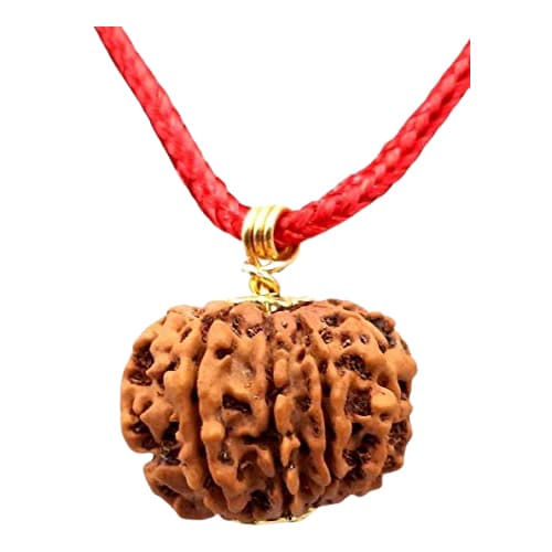 10 Mukhi Nepali Original Rudraksha
