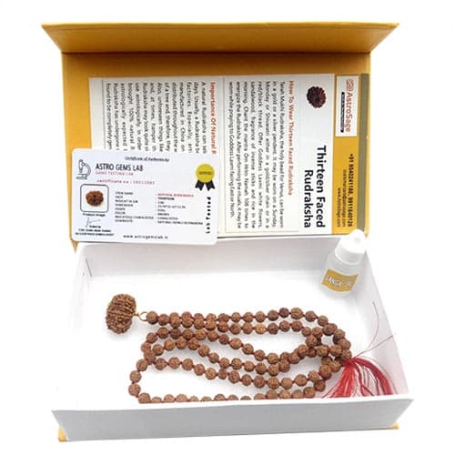 Terah Mukhi- Thirteen Faced Rudraksha - Lab Certified
