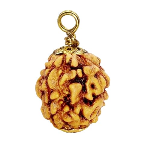 3 Mukhi Original Nepali Rudraksha