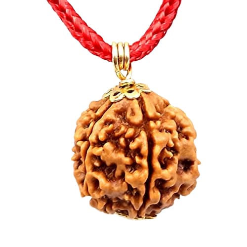 3 Mukhi Original Nepali Rudraksha